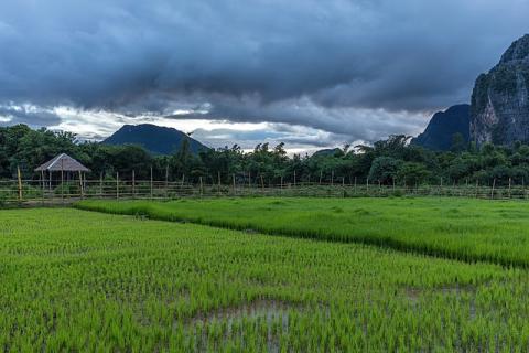640px-Green_paddy_fields_under_heavy_clouds_at_dusk_in_Vang_Vieng,_Laos.jpg